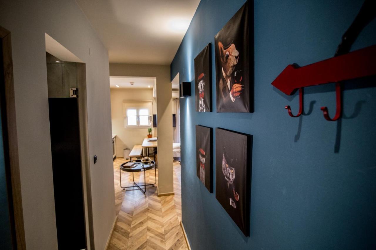 Thess Cozy Living Apartment Солун Екстериор снимка